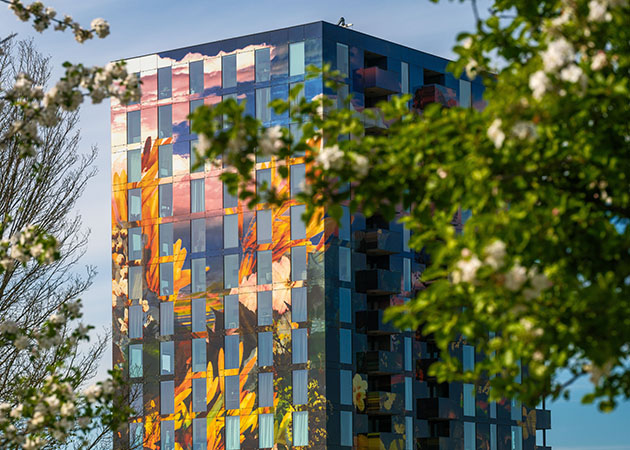 Almere: een gezellige winterstad
