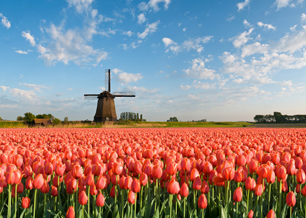 Een thema hoeft niet subtiel te zijn